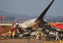 Tragjedi ajrore në Korenë e Jugut: 179 të vdekur pas përplasjes së aeroplanit me mur në Aeroport (VIDEO)