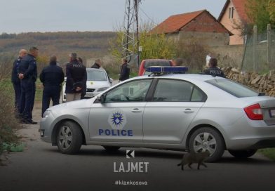 Krimi në Gollubovc: Vëllezërit që u vranë i kërkuan motrës të ndahej nga burri (VIDEO)